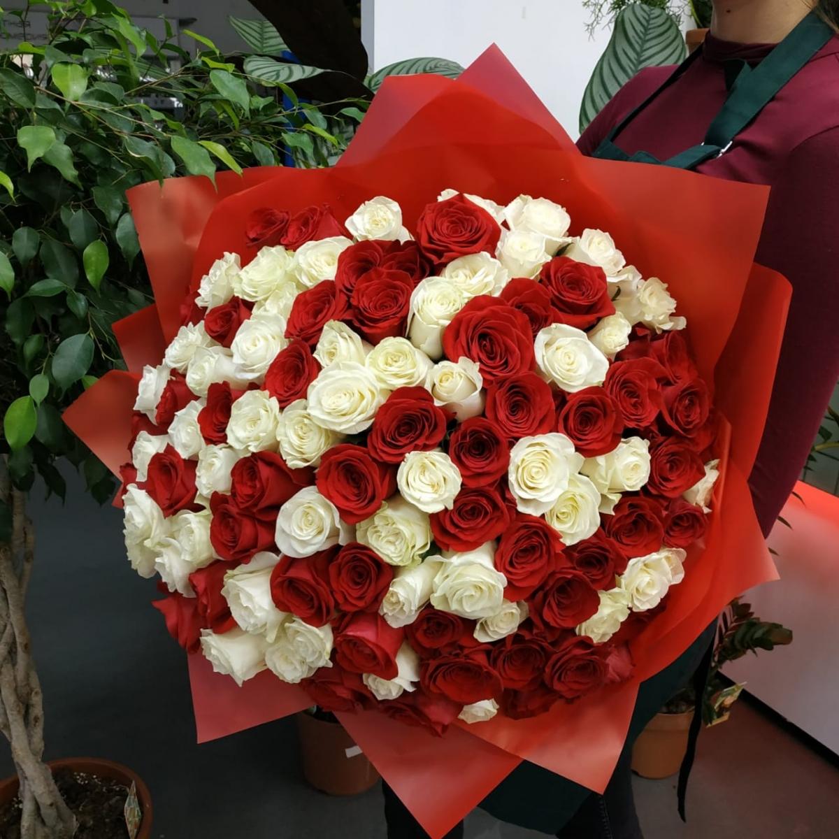 Букет из 101 розы (красные и белые розы) №  1452650