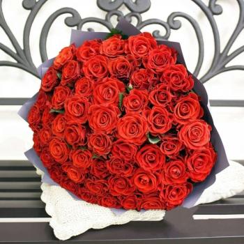 Букет Красная роза Эквадор 51 шт №: 2532150