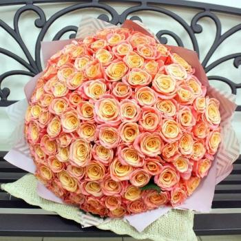 Букет Оранжевые розы Эквадор 101 шт (50 см) articul  253810om