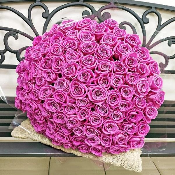 Розовые розы Эквадор 101 шт (50 см) (код товара  253640)